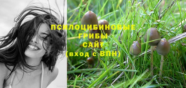 ALPHA PVP Володарск