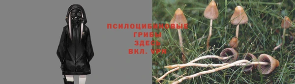 apvp Верхний Тагил